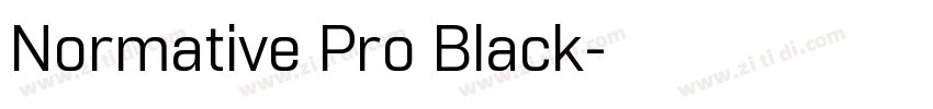 Normative Pro Black字体转换